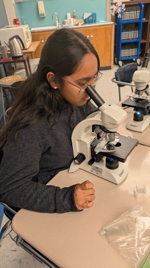 HS Workshops — Learning Microscopy