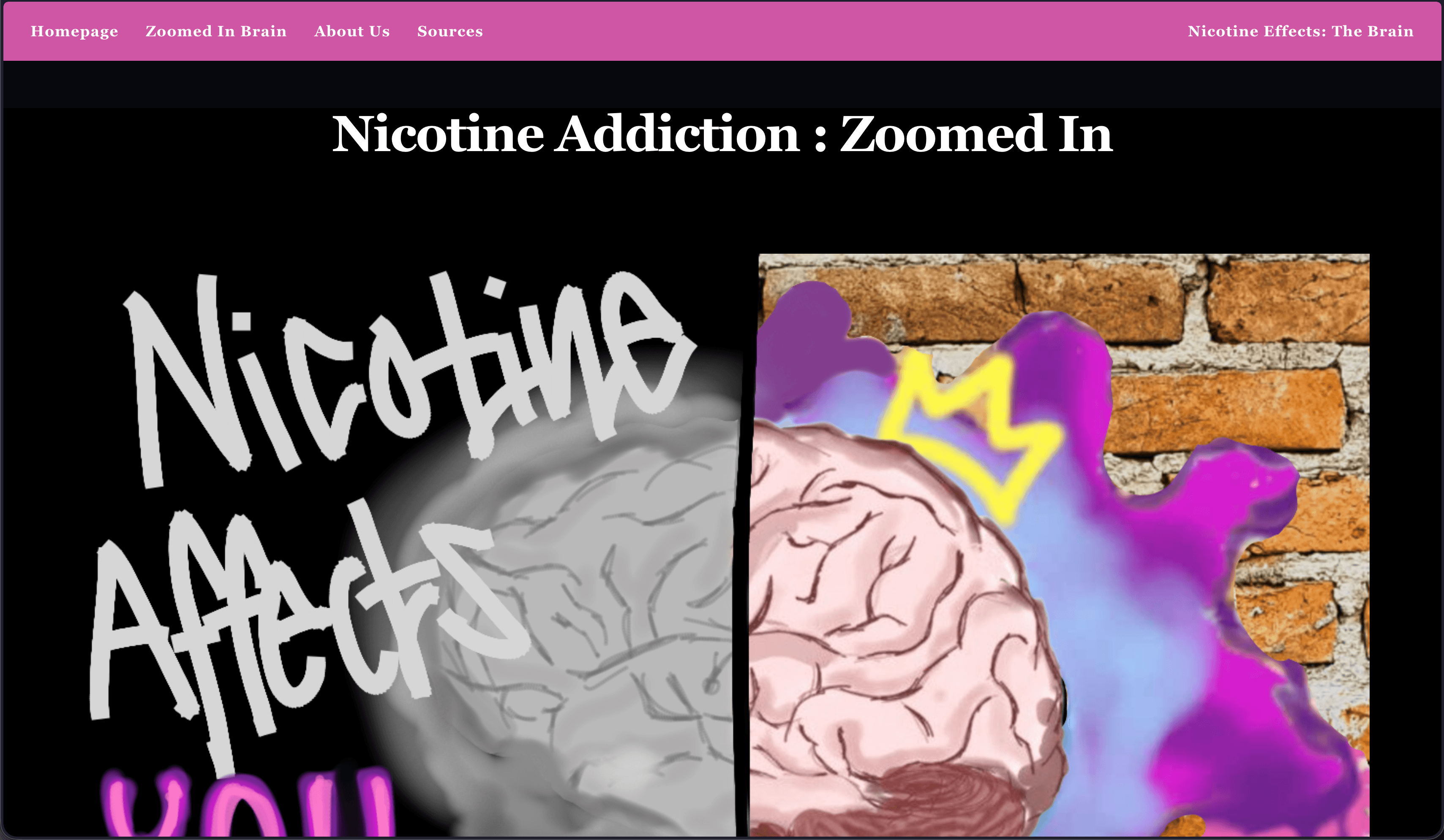 High School: Effects of Nicotine on Brain